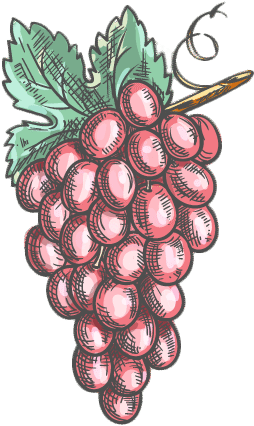 The Taste of Rancho Santa Fe